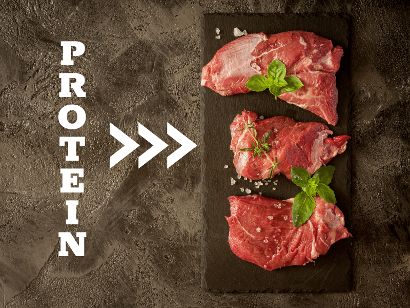 Thịt bò cung cấp protein