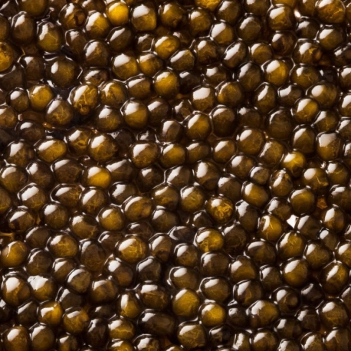Trứng cá tầm Caviar Kristal Kaviari (30g)