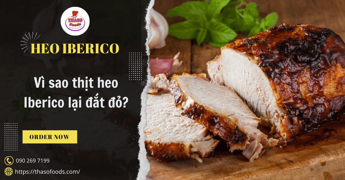 Giải mã lý do vì sao thịt heo Iberico lại đắt đỏ?