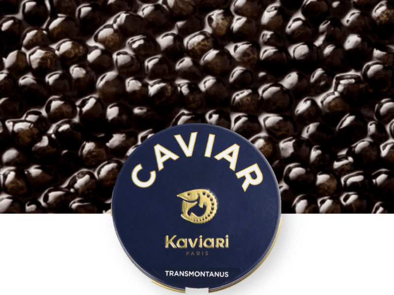 Trứng cá tầm Caviar Transmontanus Kaviari