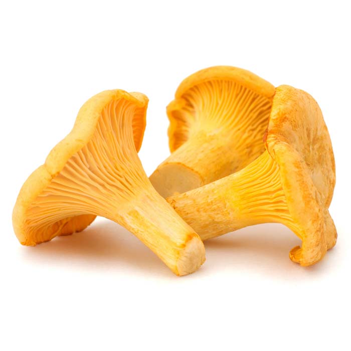 Nấm loa kèn- Chanterelle mushroom 2cm-4cm