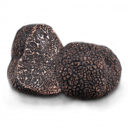 Nấm truffle đen Winter -100g