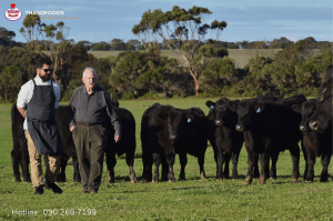 5 lợi ích sức khỏe từ thịt bò Úc ăn cỏ có thể bạn chưa biết